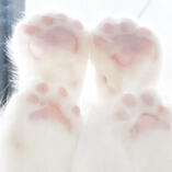 ㅤ ㅤ